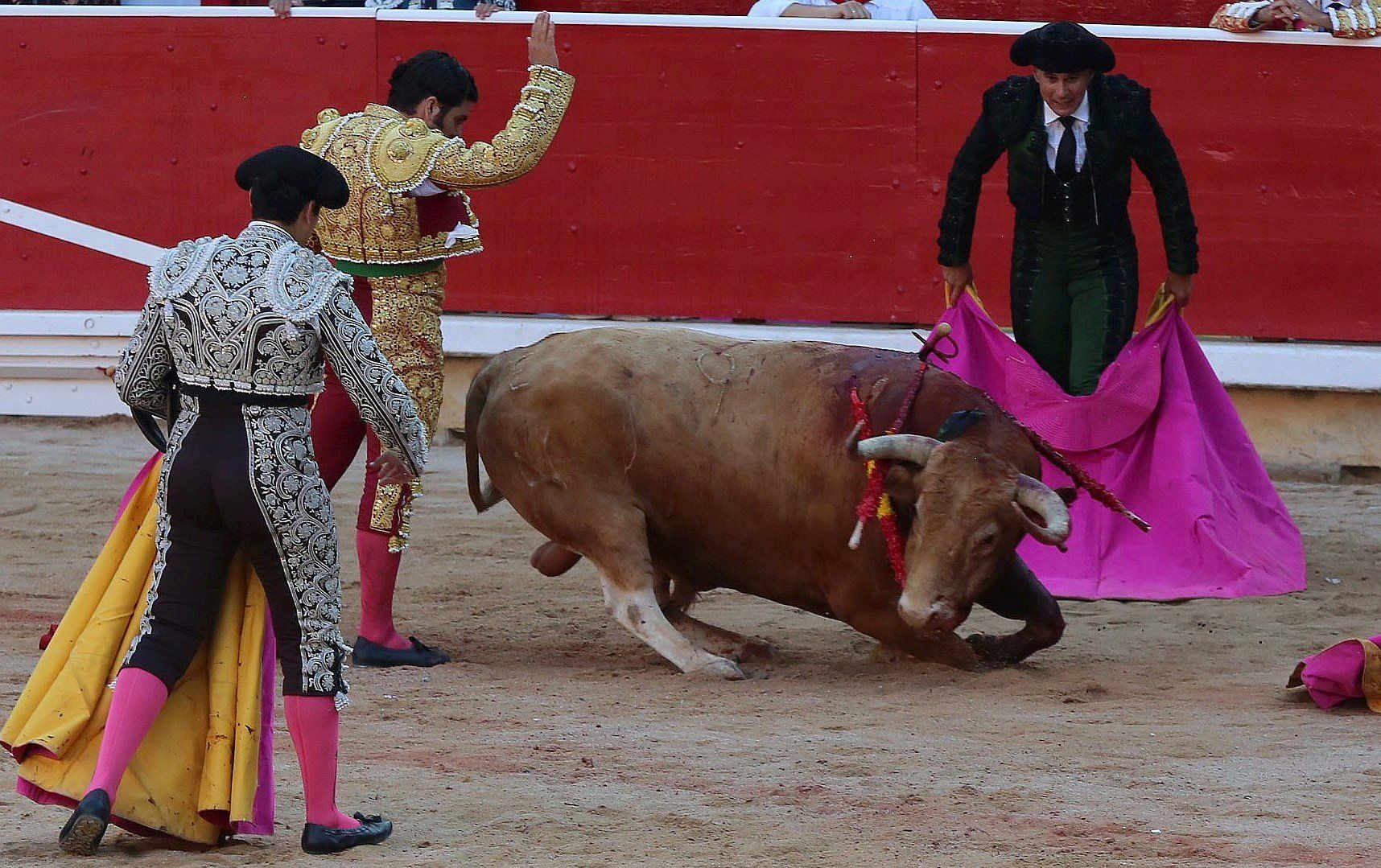 Fotos de la corrida de toros del día 9.