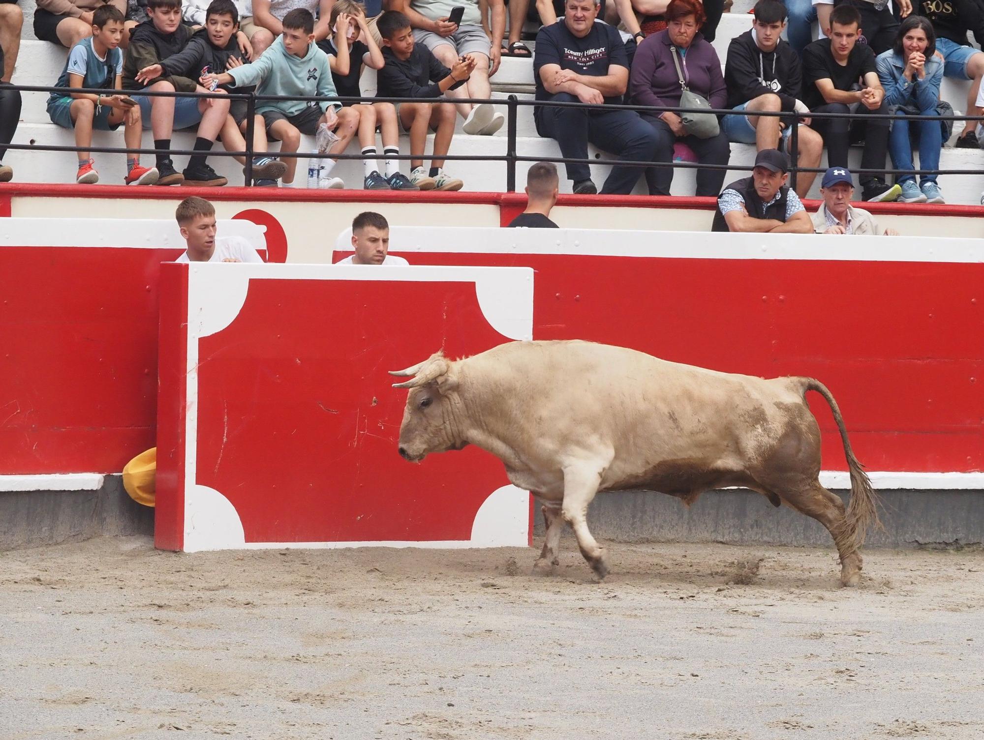 El extremeño Israel Pérez 'Ruso' se estrena con victoria en el Campeonato de Recortadores de Azpeitia