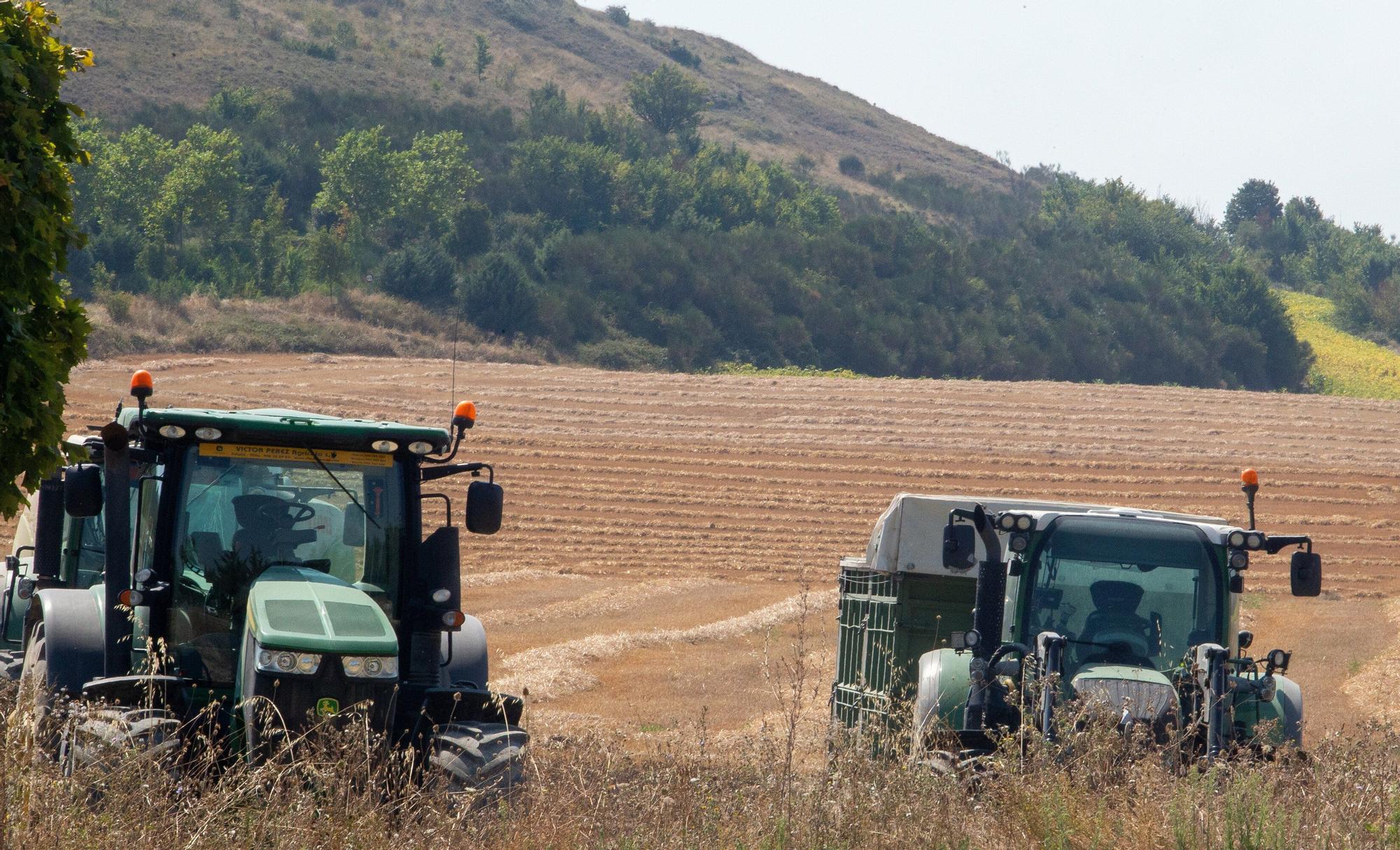 Ola de calor en Navarra