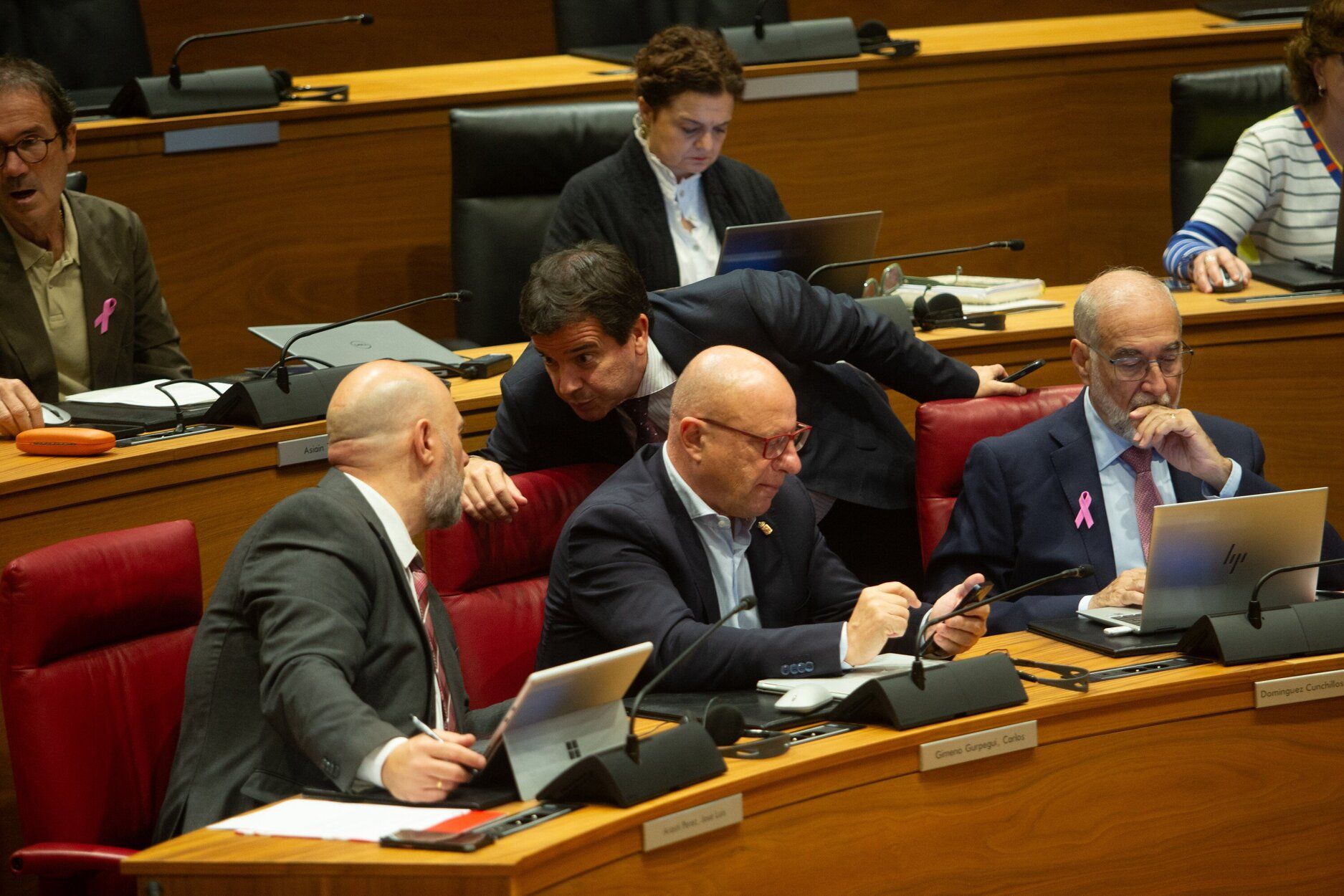 Fotos del pleno del Parlamento de Navarra de este jueves