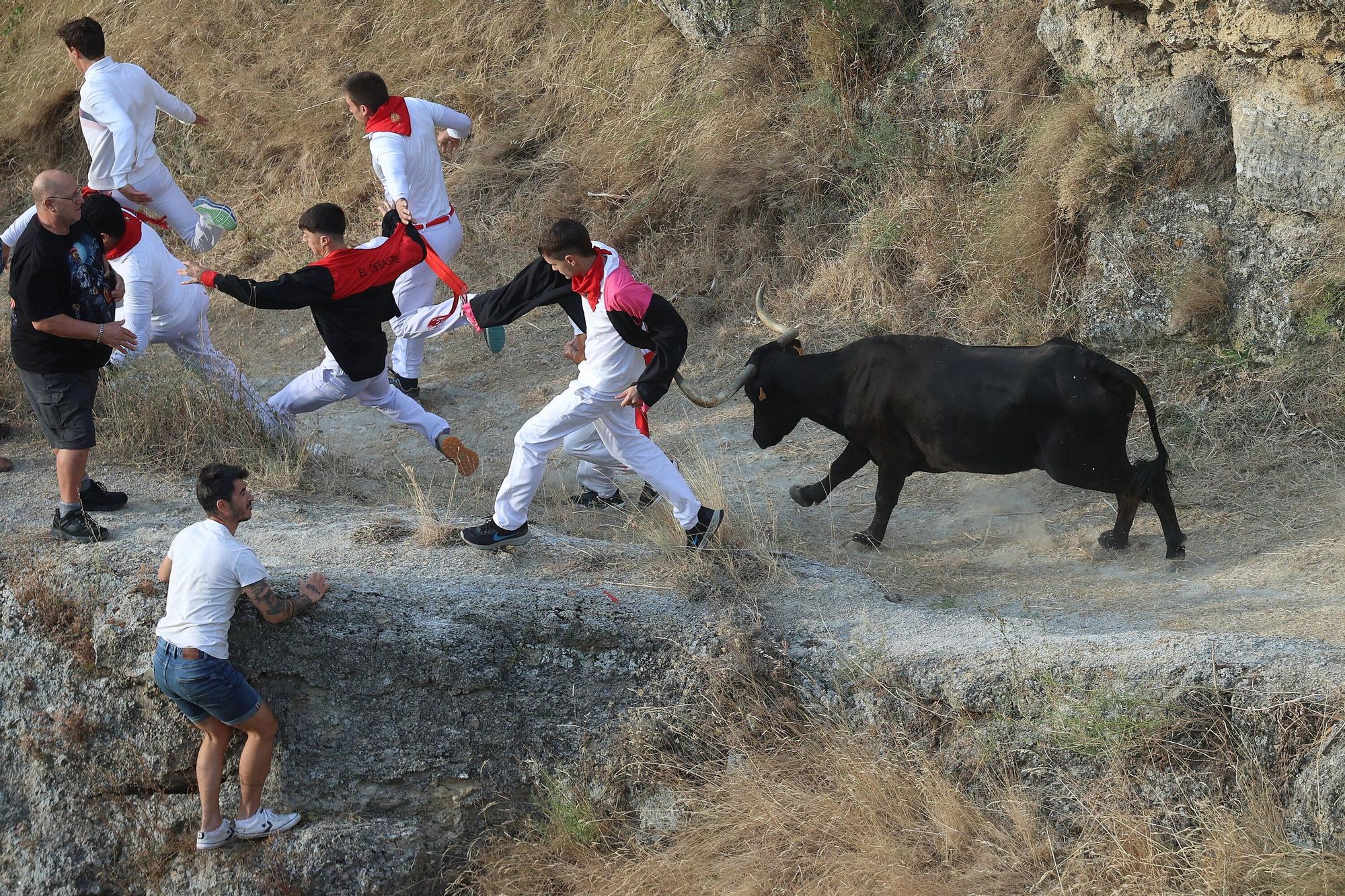 Fotos del segundo encierro del Pilón de Falces 2025