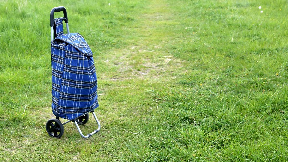 Un carrito de la compra en medio de un campo.