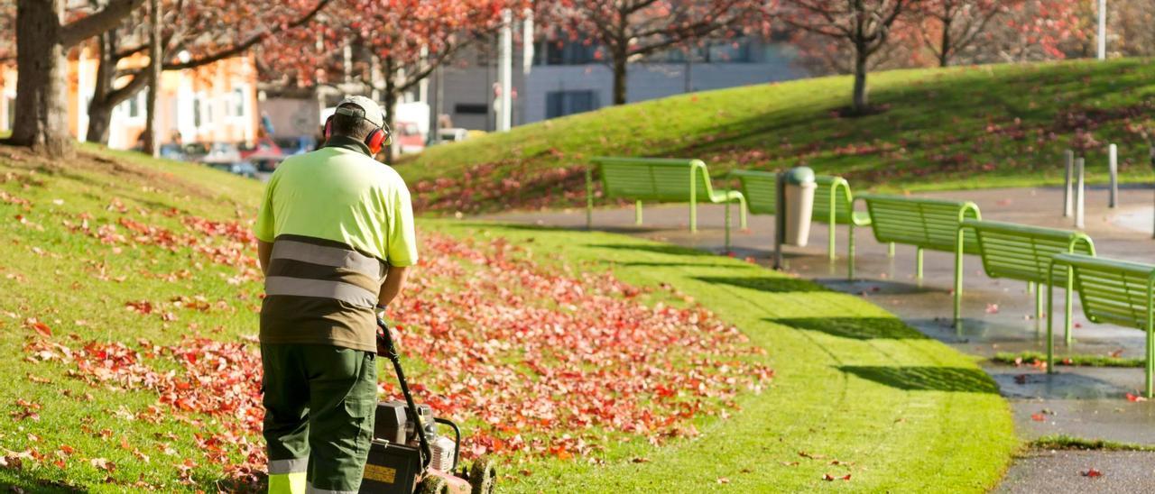 Solidaridad con el personal de jardinería