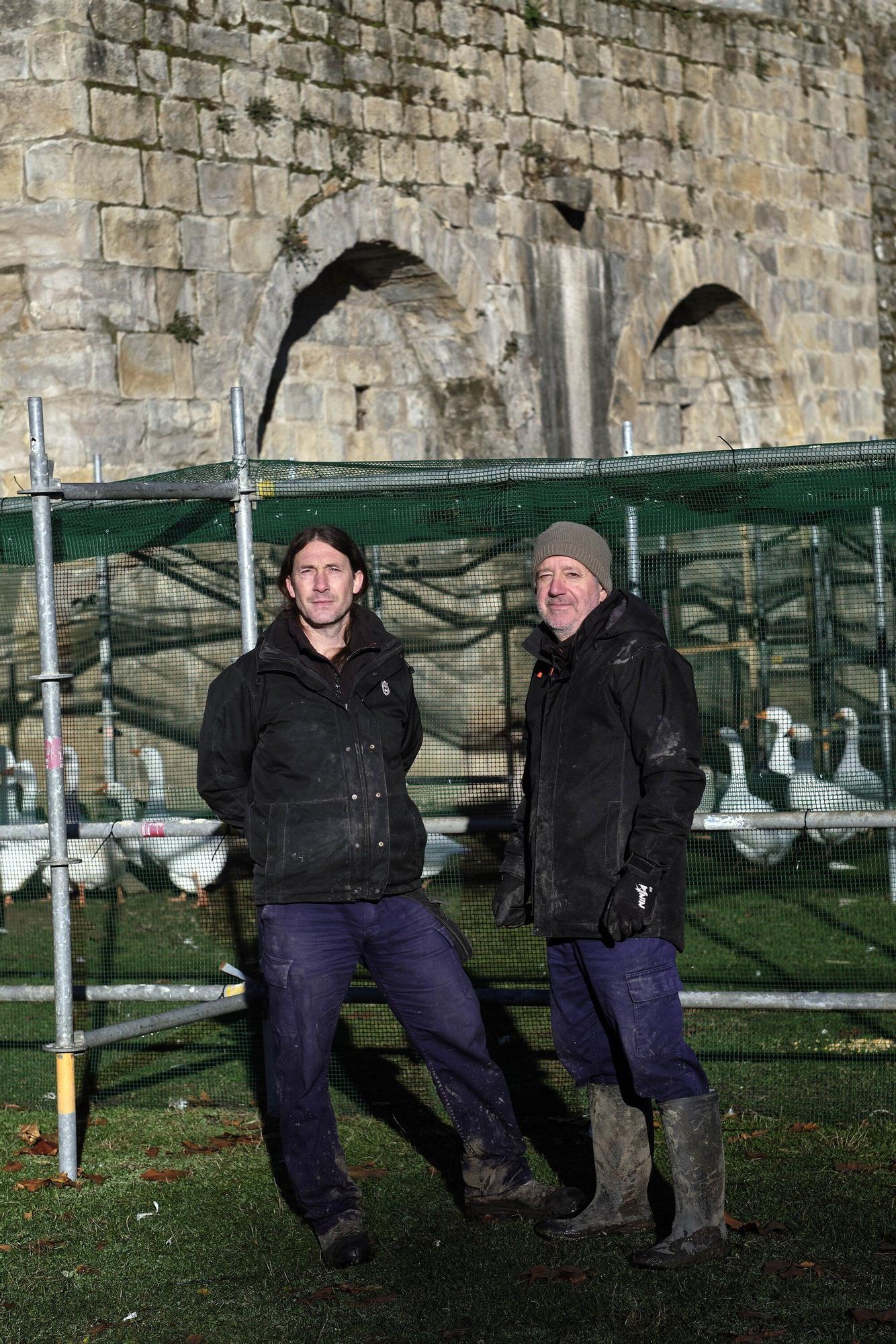 Las medidas contra la gripe aviar en la Taconera de Pamplona