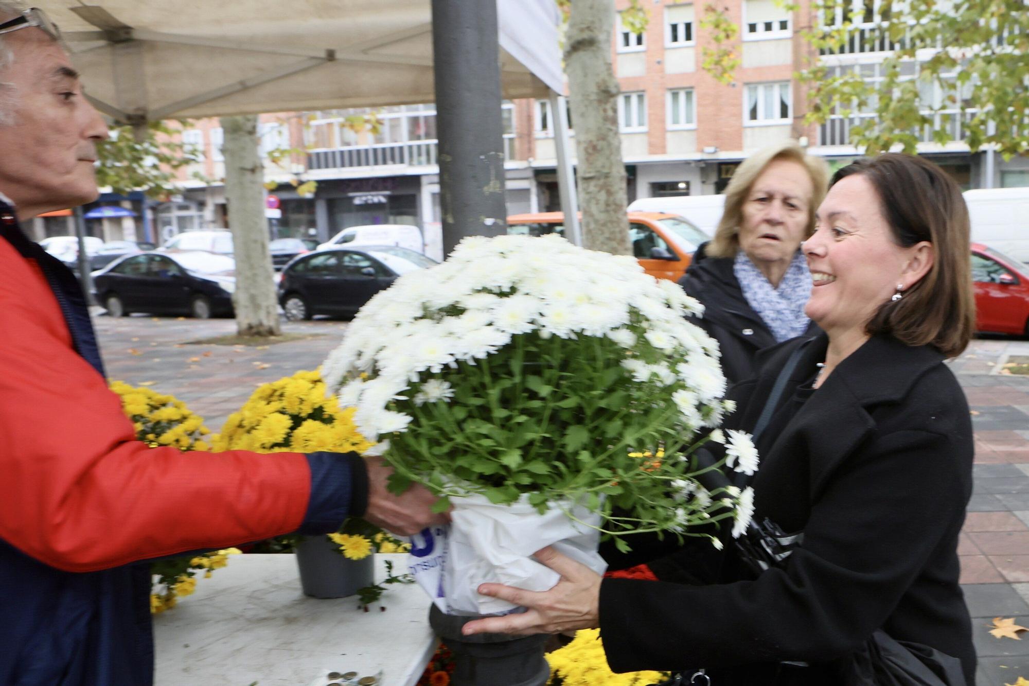 En imágenes: Vitoria muestra sus respetos en el día de Todos los Santos
