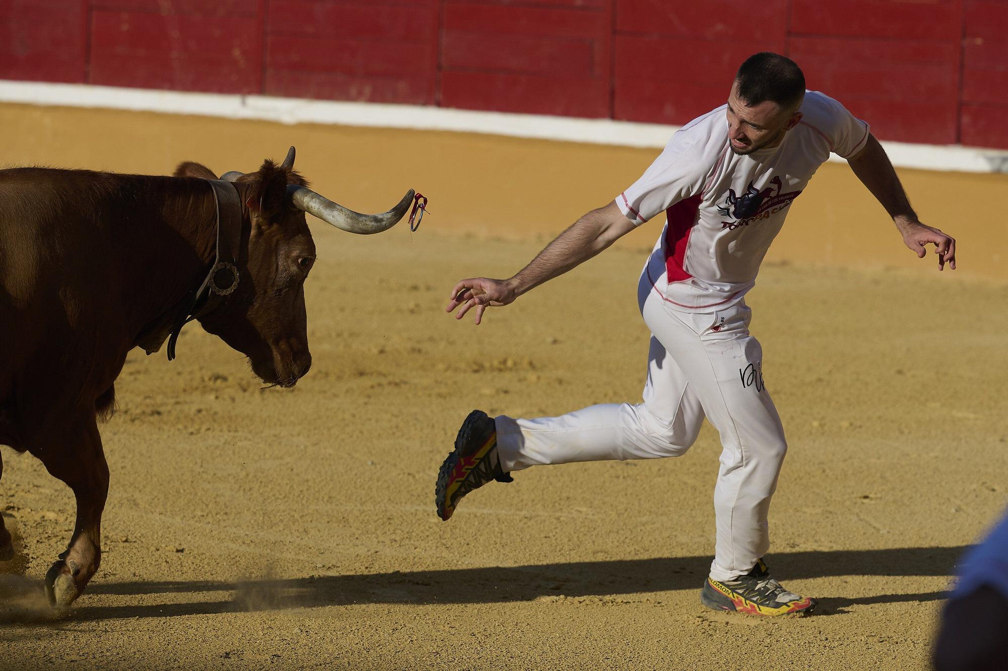 Concurso de recortadores con anillas