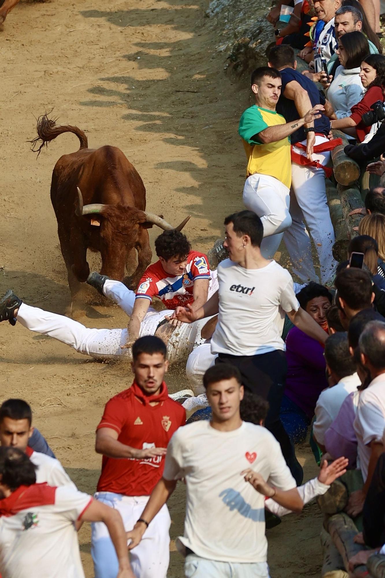 Fotos del cuarto encierro del Pilón de Falces 2025