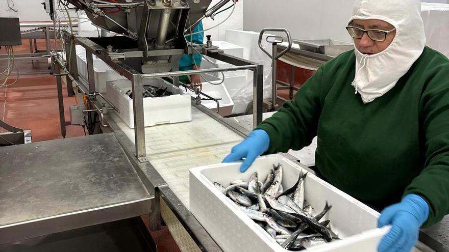 Kofradia Basque Seafood: la nueva forma de comercializar y consumir el pescado