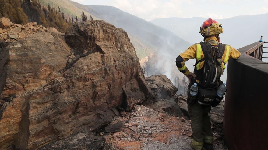 La Policía ha detenido o identificado a 60 personas por provocar los incendios de Galicia