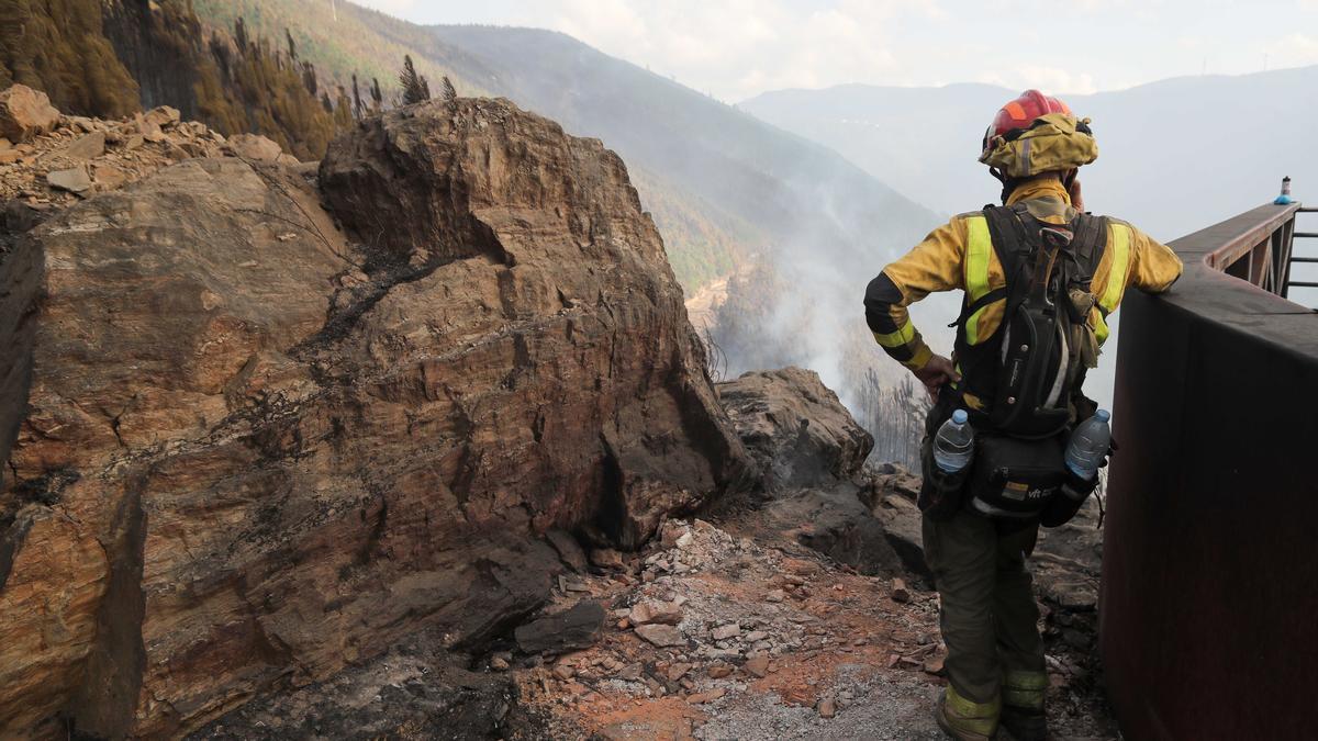 Un brigadista forestal observa el terreno calcinado en A Barca, Sober (Lugo)