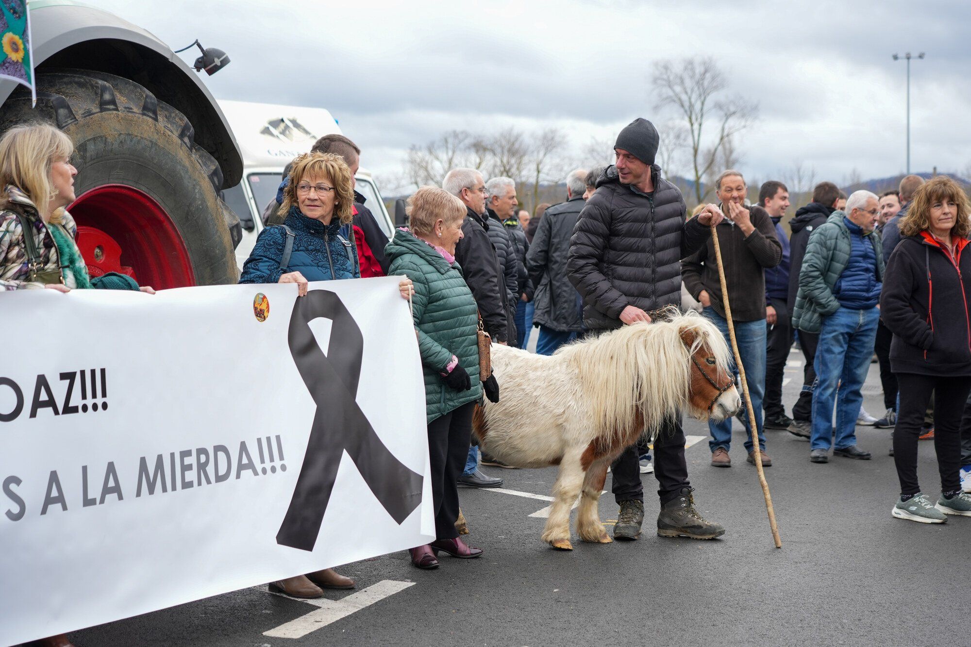 Los agricultores alaveses llegan al Palacio de la Provincia con sus demandas