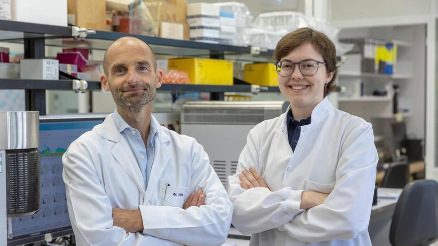 Un estudio del Cima Universidad de Navarra descarta el papel de células inmaduras en la resistencia al tratamiento oncológico