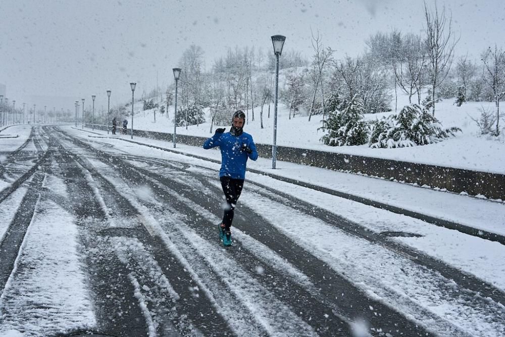 Nieve en Álava