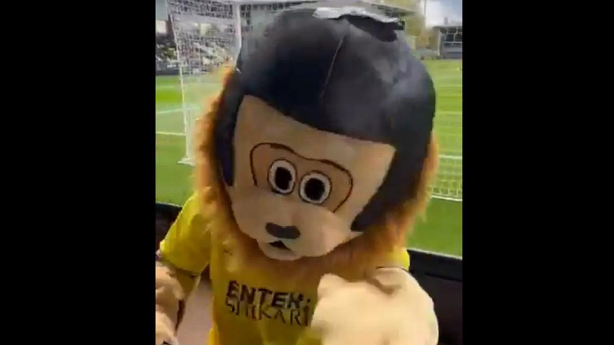 La mascota del St Albans City, muy perjudicada.