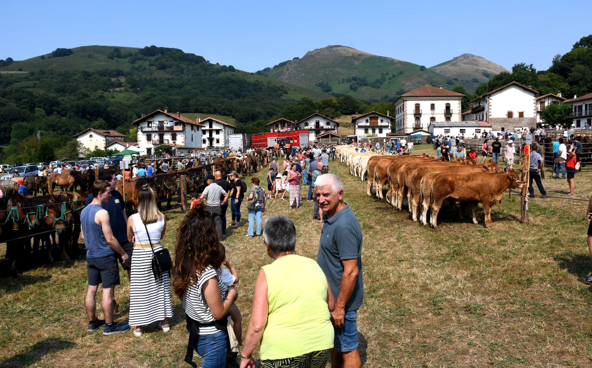 Artzai Eguna en Amaiur