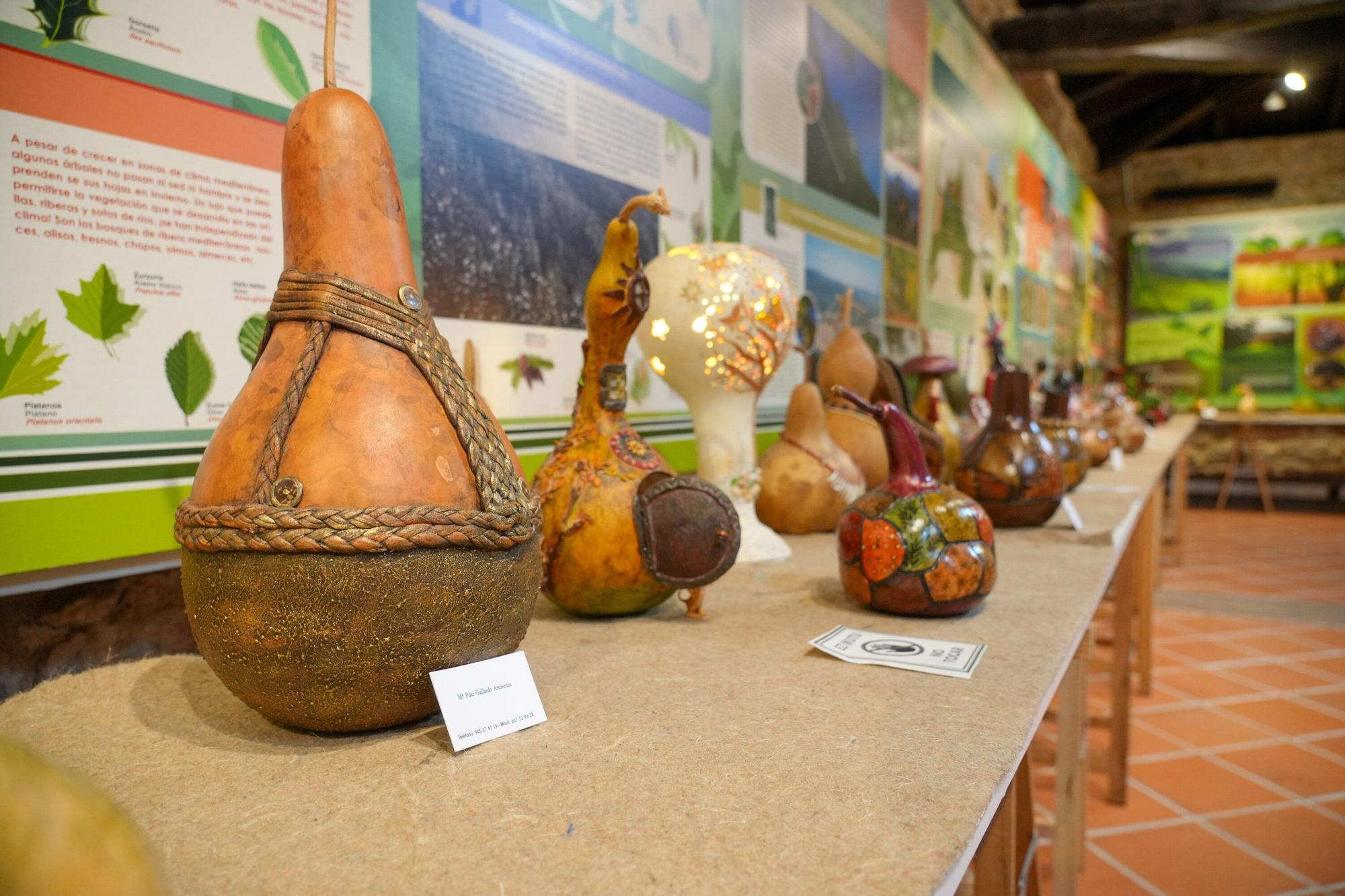 En imágenes: Exposición de calabazas en la Casa de la Dehesa