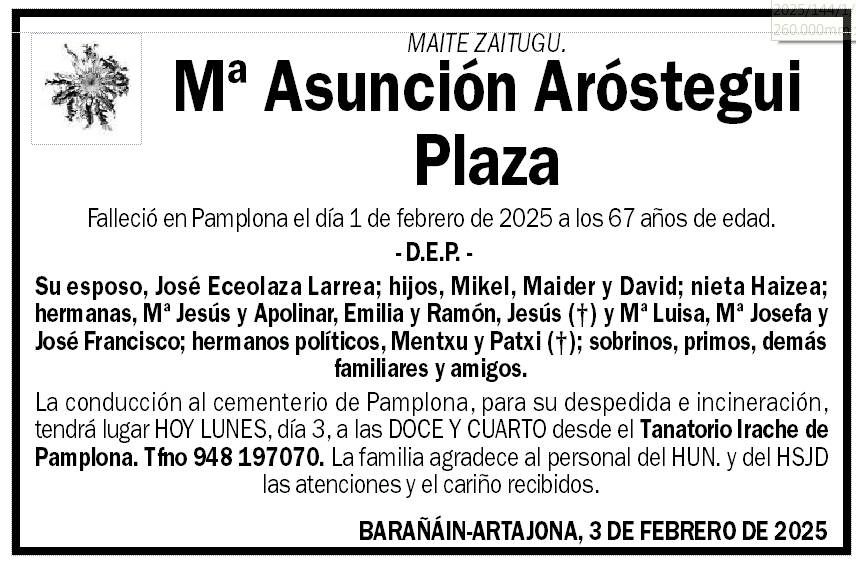 Mª Asunción Aróstegui Plaza