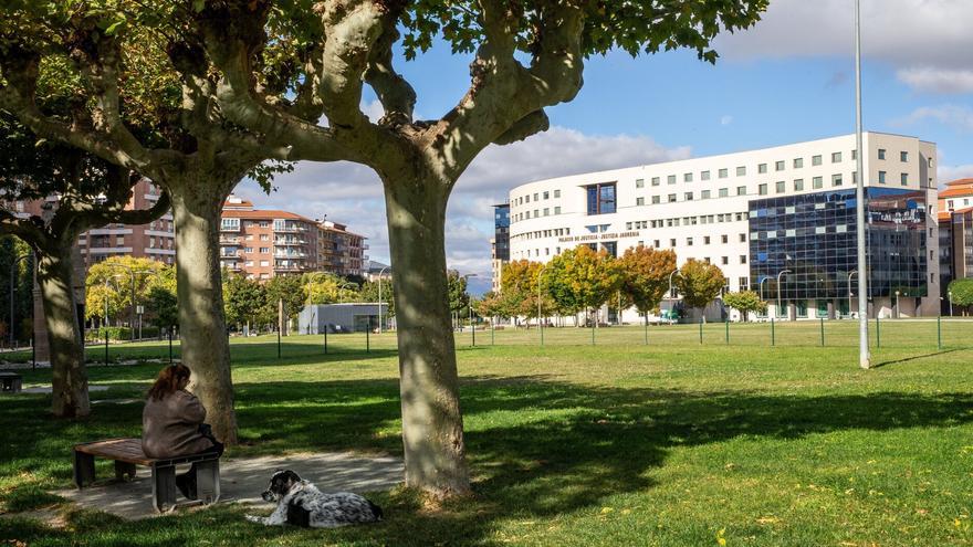 Condenado a 14 años de prisión por violar a su mujer mientras dormía y maltratar a su hijo en Pamplona