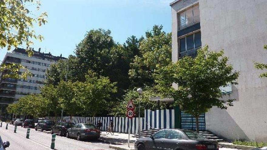 El Ayuntamiento asumirá el traslado de tres secuoyas  del Peñaflorida