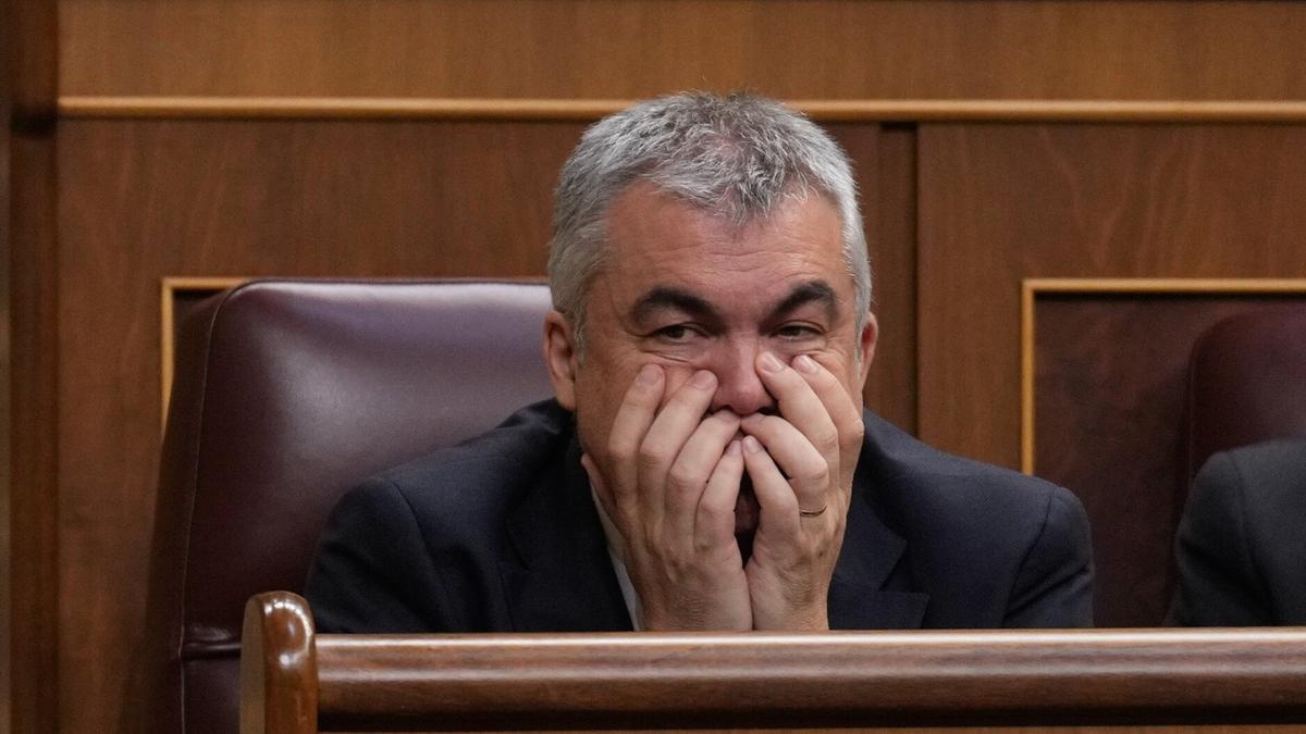 El diputado socialista, Santos Cerdán.