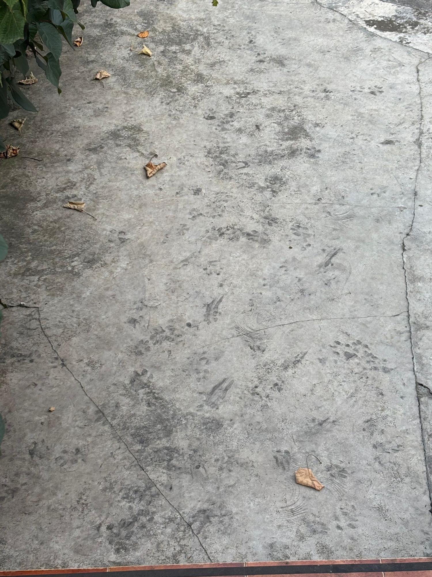 En imágenes: El polvo negro que inunda un barrio de Galdakao