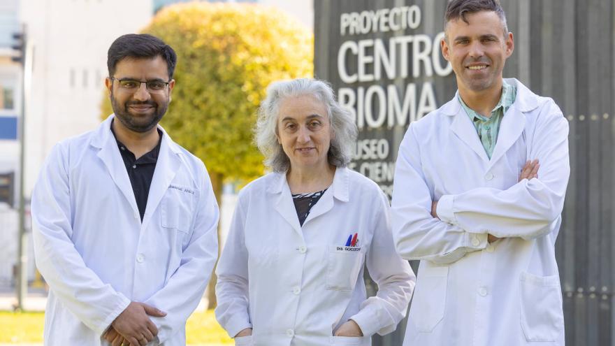 Un estudio del Instituto BIOMA de la Universidad de Navarra revela cómo el aumento de CO₂ podría afectar a la calidad nutricional de las legumbres