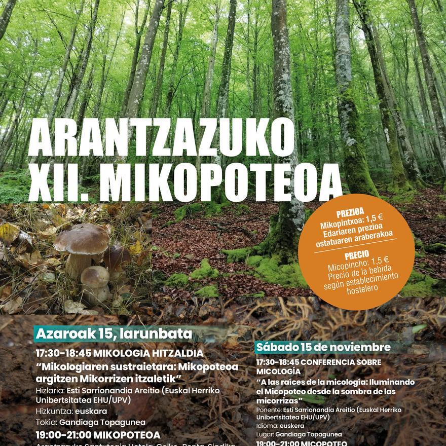 Mikopoteoa2025 (1) (1)