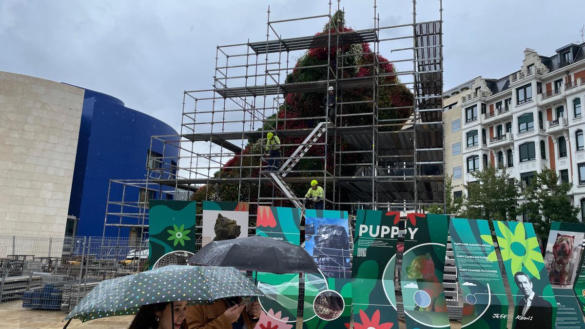 Un gran andamio cubre a &#039;Puppy&#039; que mudará de piel los próximos días