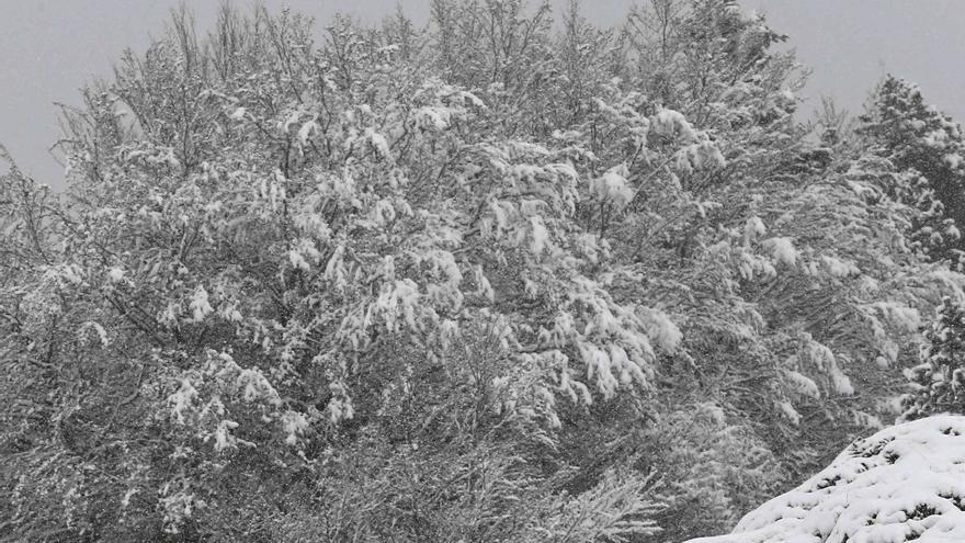 Aviso amarillo por nieve en el Pirineo navarro con acumulaciones de hasta 5 centímetros