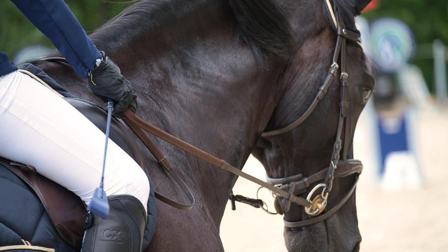 El TSJN confirma la condena a 10 años de prisión a un profesor de hípica que abusó sexualmente de una alumna menor de 16