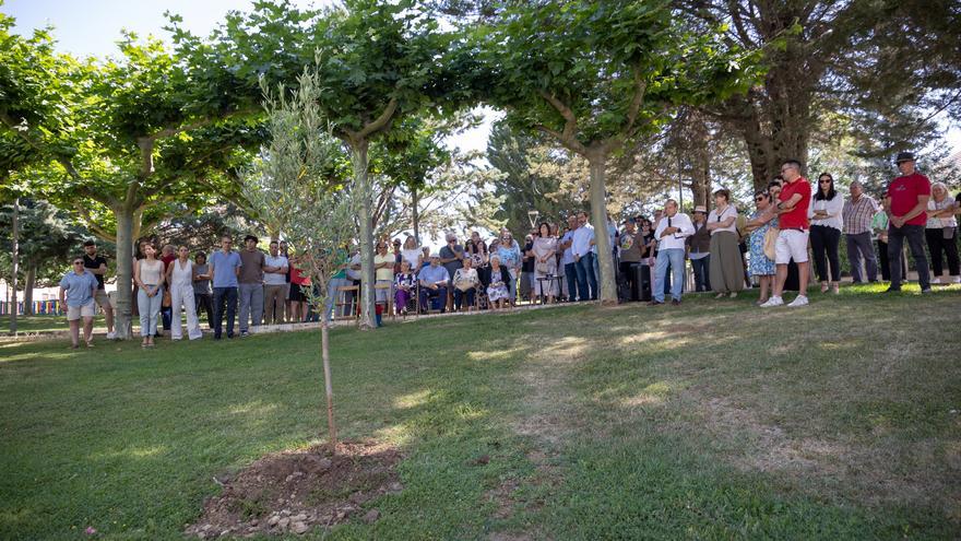 Un olivo por la memoria  y la dignidad en Elciego