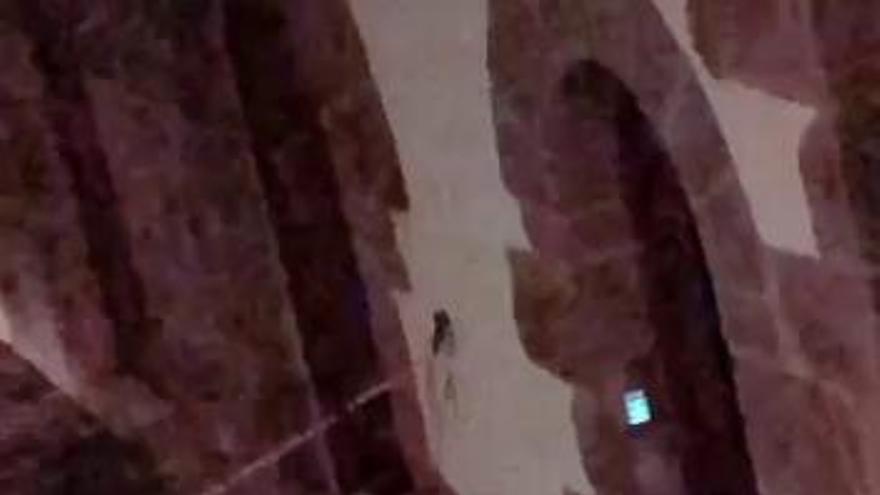 Detención en Goizueta