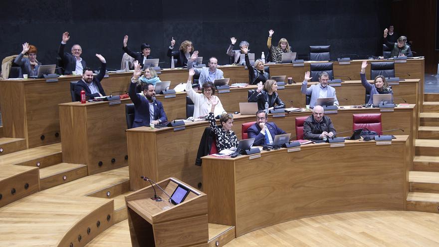 Apoyo unánime del Parlamento de Navarra a la nueva ley de atención a personas con discapacidad
