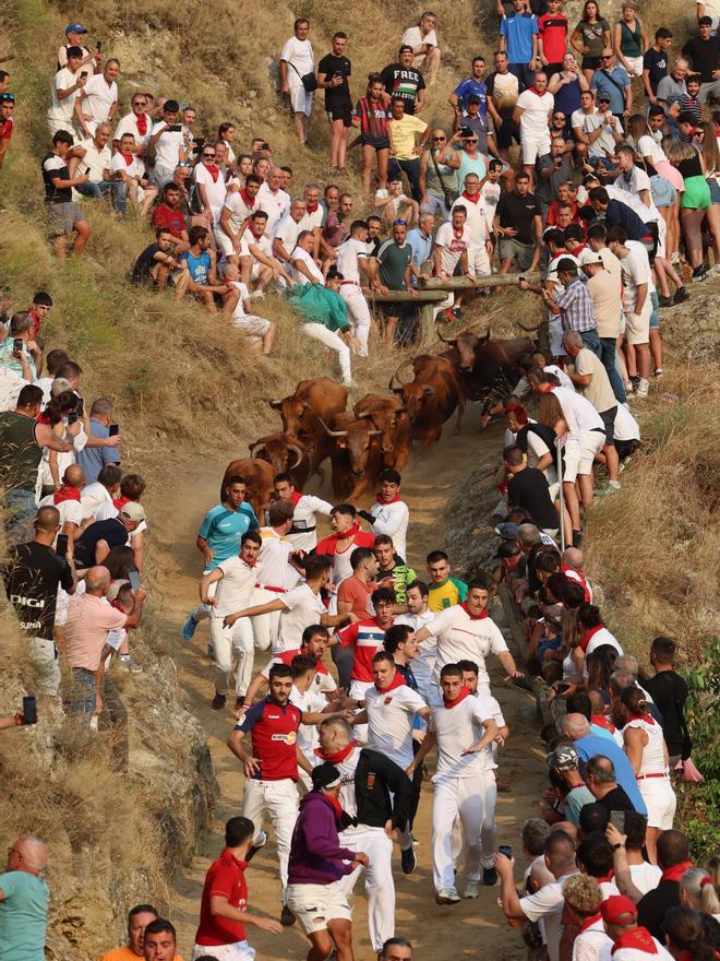 Fotos del primen encierro del Pilón en Falces 2025