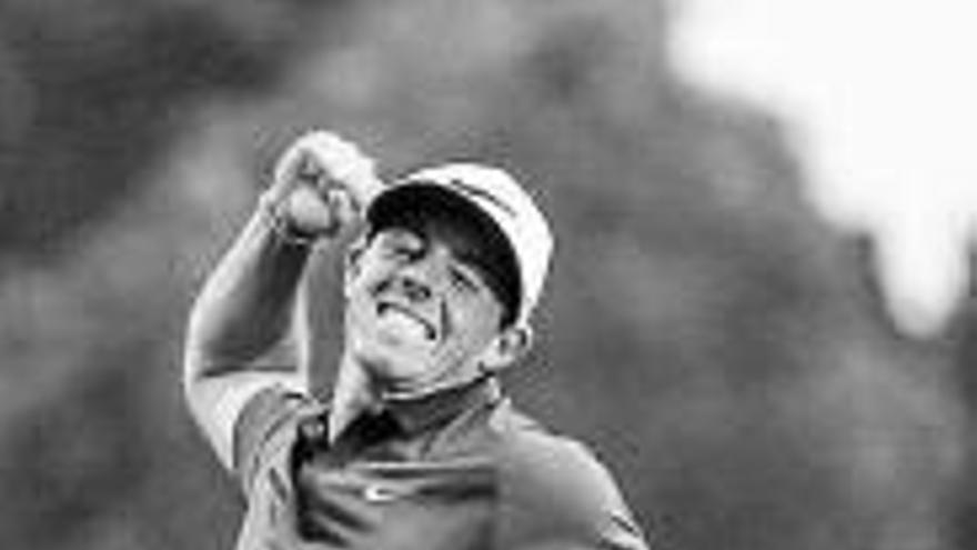 Rory McIlroy firmó el mejor golpe de 2016