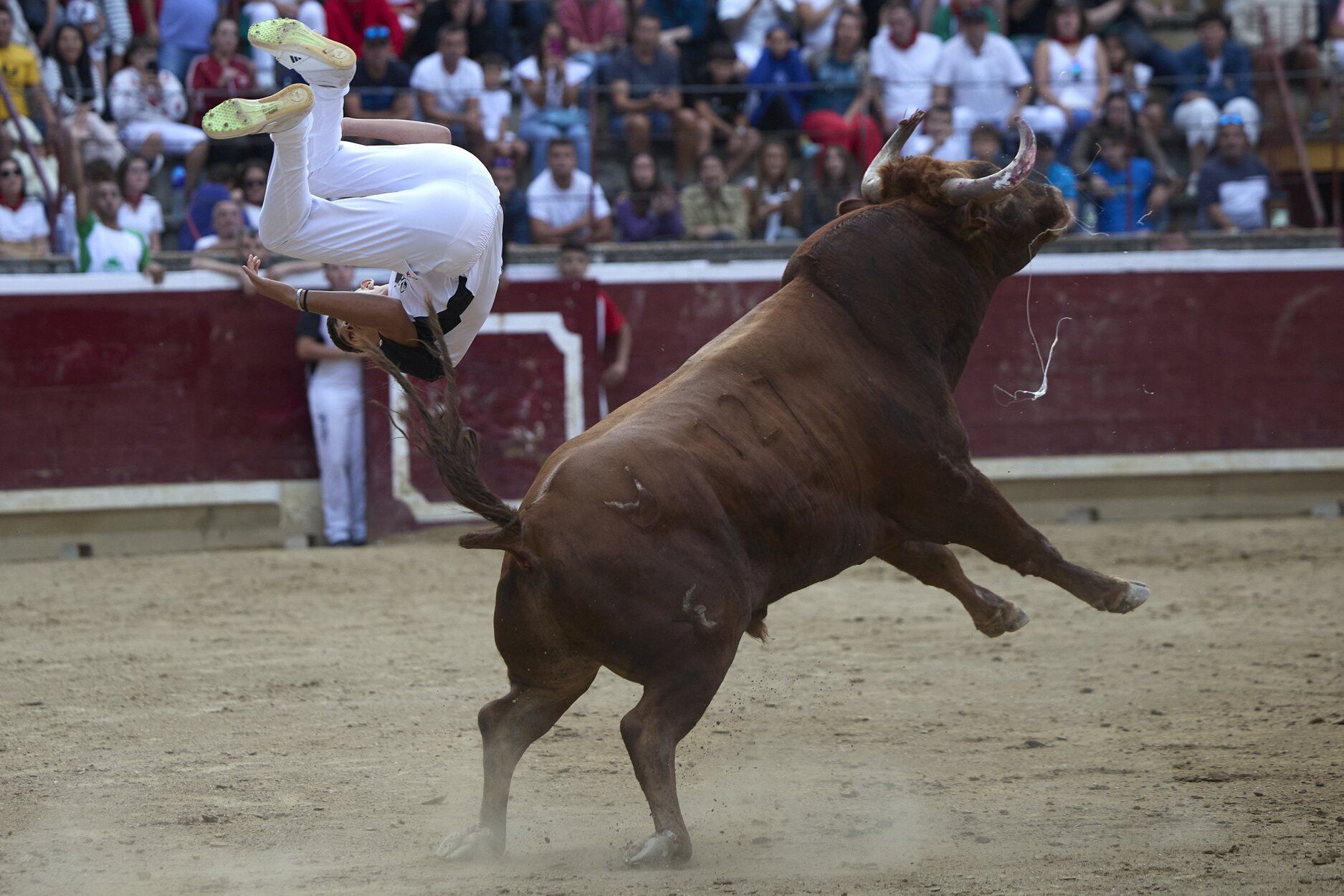 Fotos del concurso de recortadores de fiestas de Tafalla