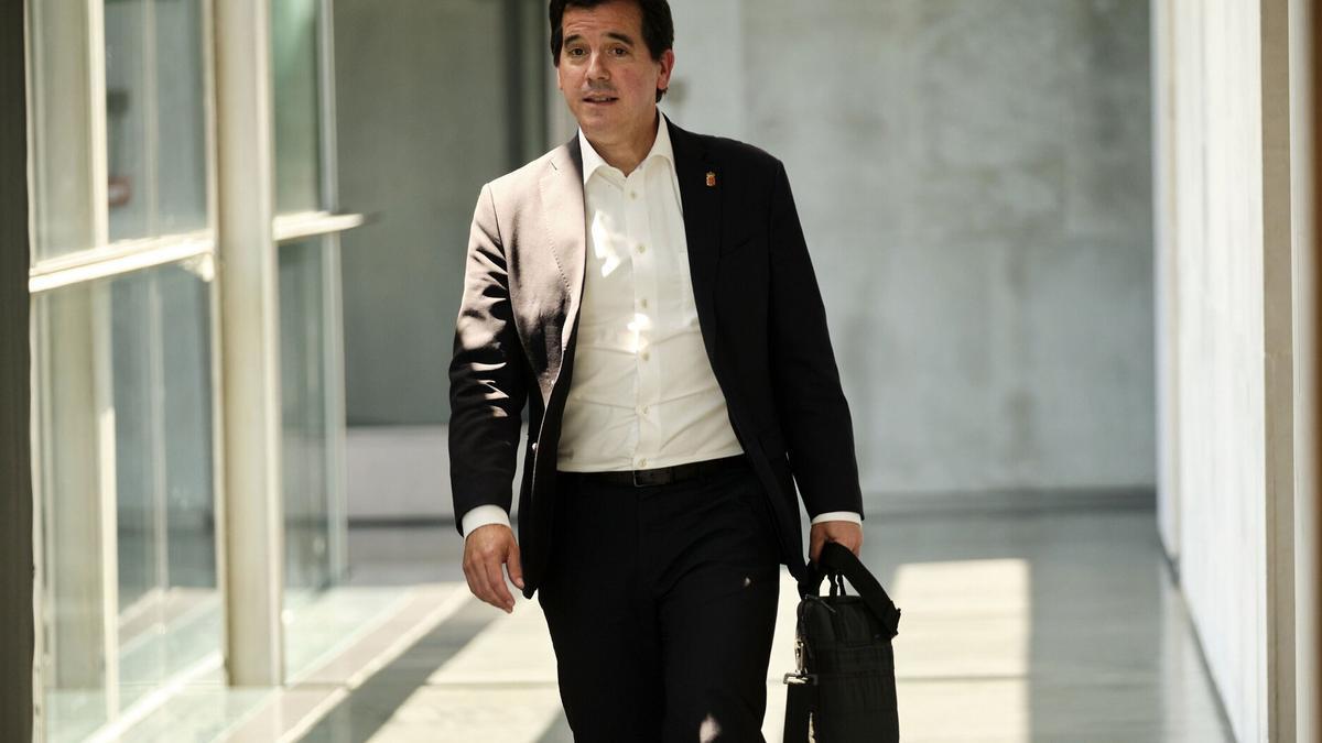 Mikel Irujo, consejero de Industria del Gobierno de Navarra Mikel Irujo, consejero de Industria del Gobierno de Navarra