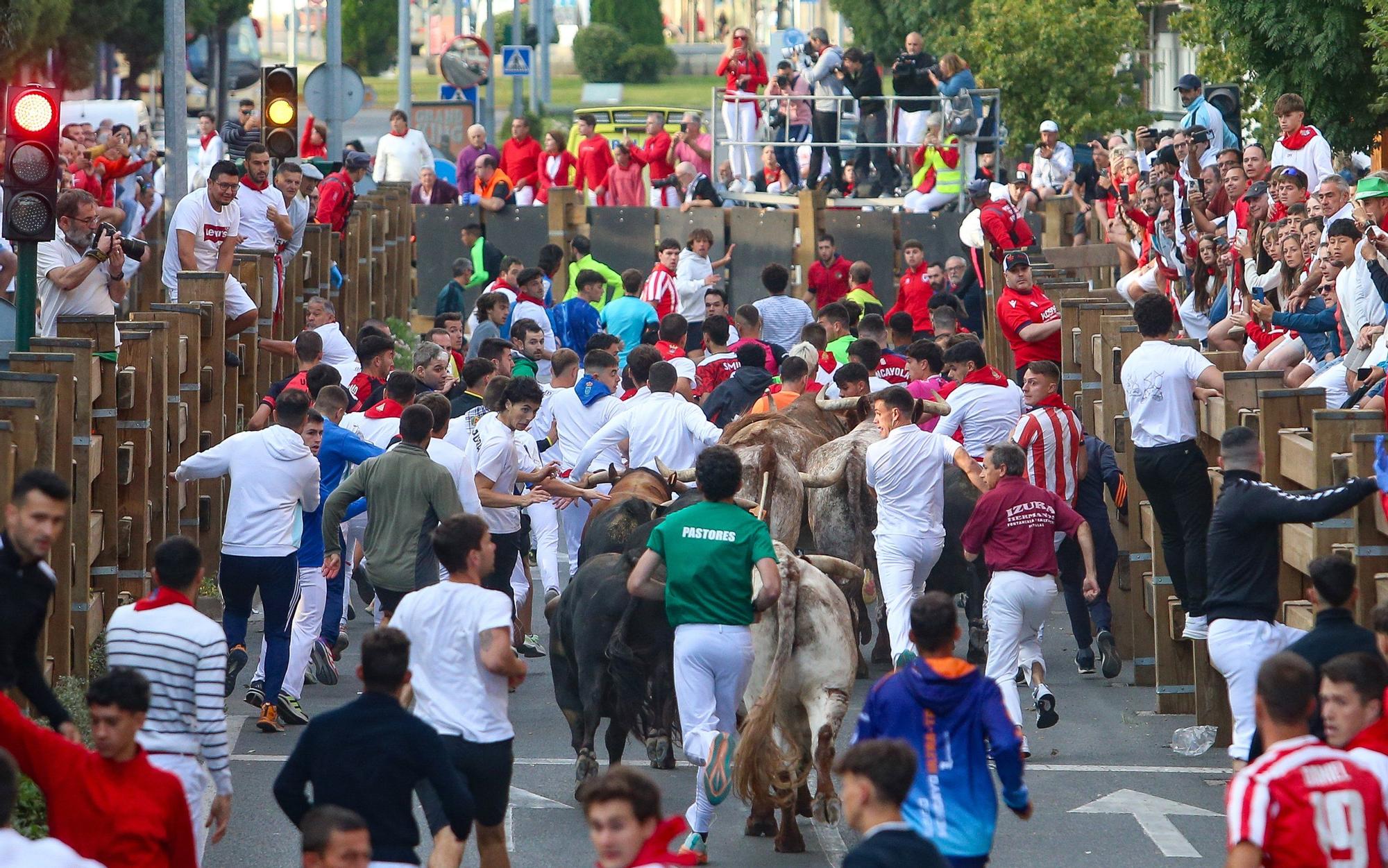 Fotos del primer encierro de las fiestas de Tudela 2025