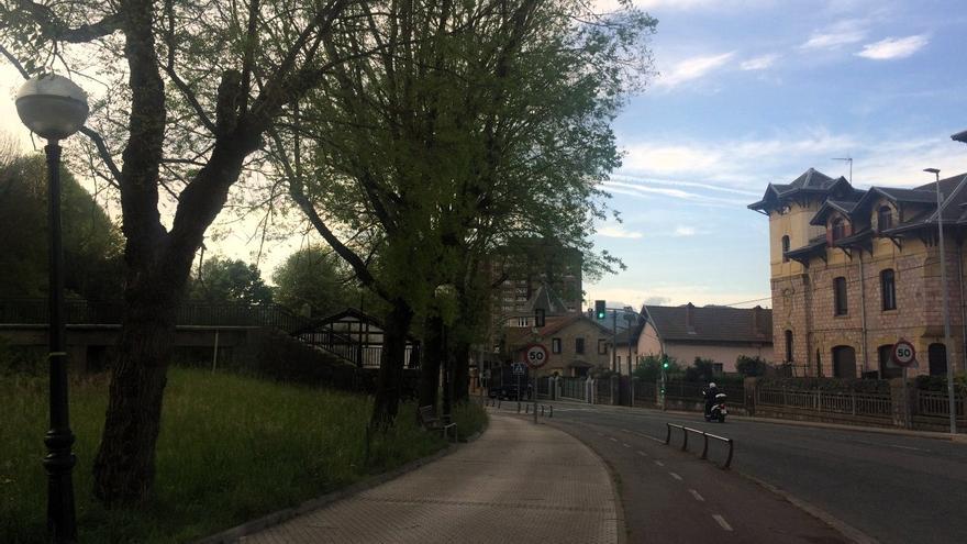 Lezo retirará cinco olmos dañados de la avenida Jaizkibel