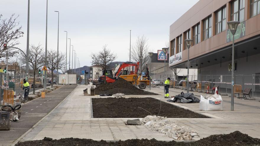 Pamplona: 77 nuevos árboles y más de 4.000 arbustos en la avenida de Gipuzkoa