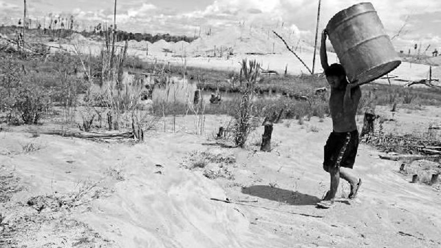 Un minero carga con un bidón en la región de Madre de Dios, donde se ha desatado la fiebre del oro y con ello muchos efectos negativos tanto para las personas como para el medio ambiente.