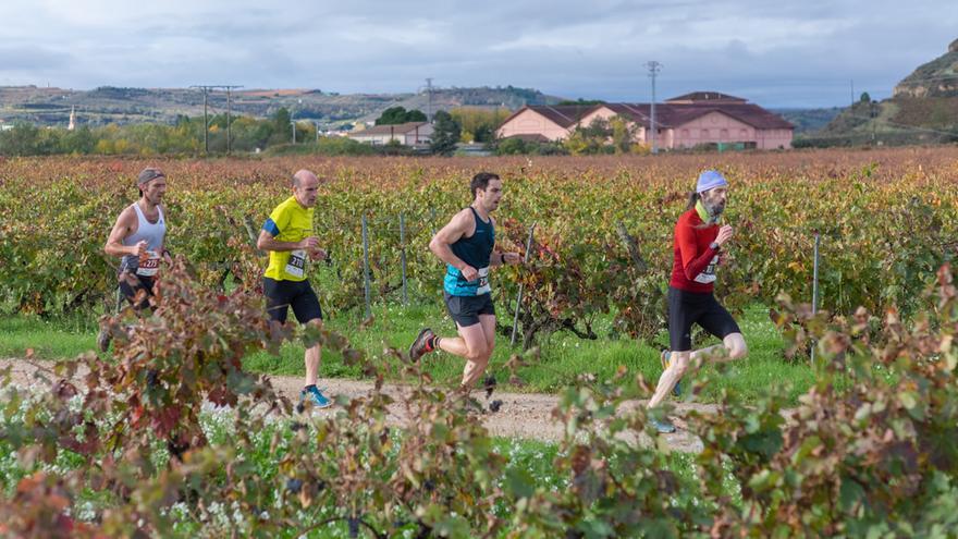 Corredores entre viñedos.