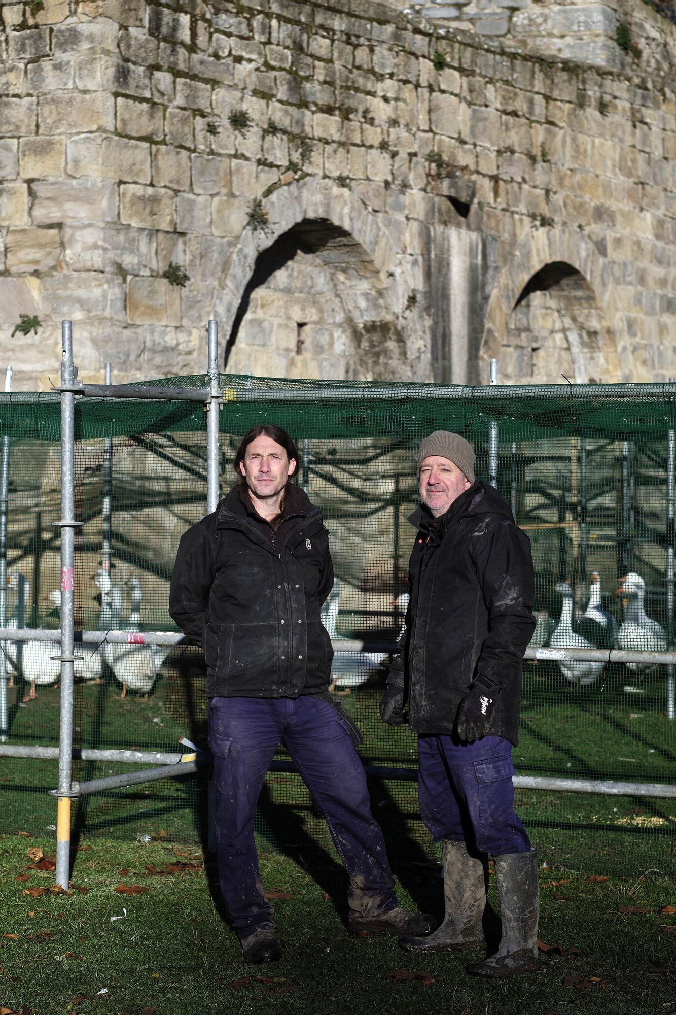 Las medidas contra la gripe aviar en la Taconera de Pamplona