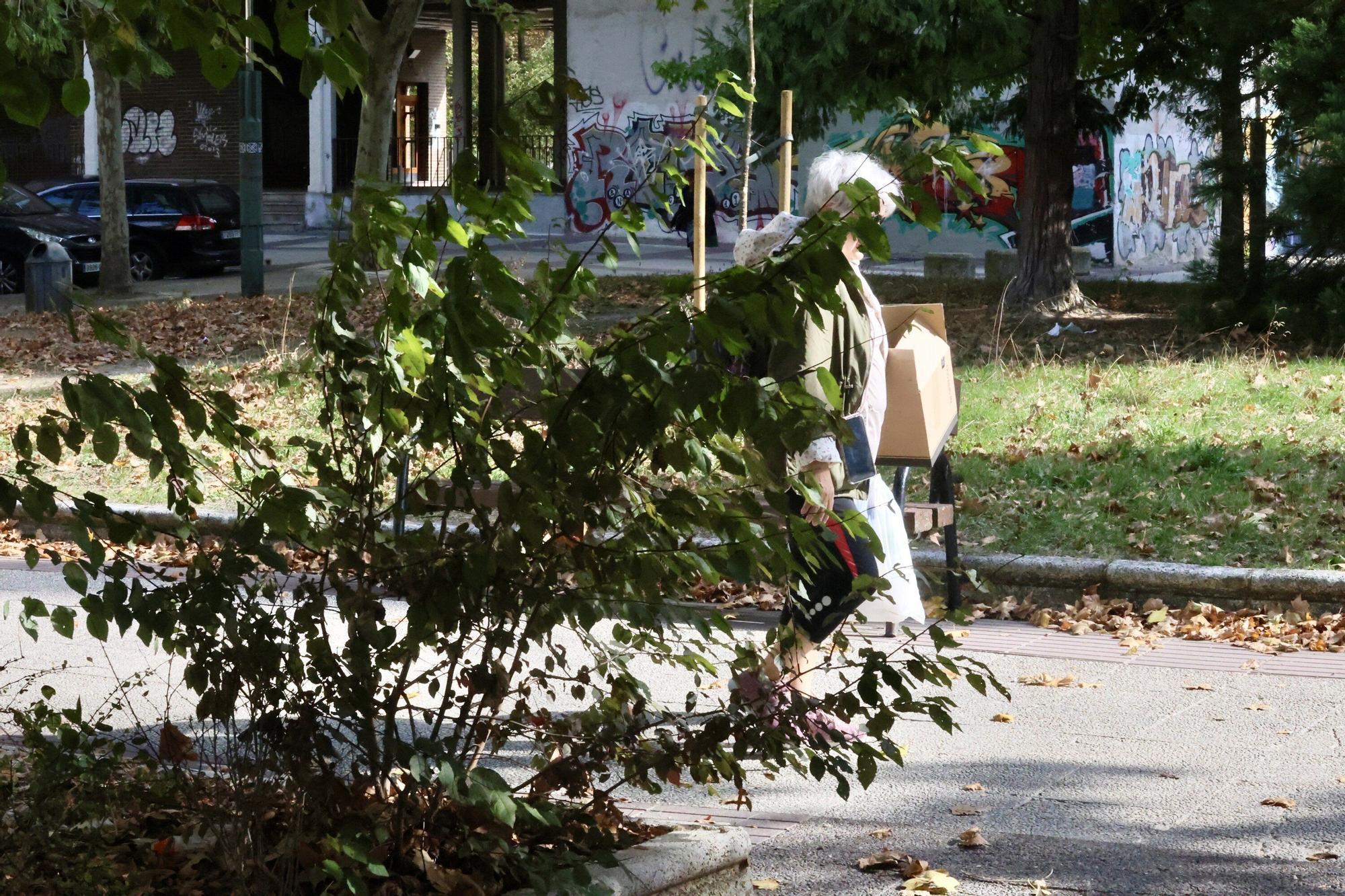 En imágenes: Vitoria-Gasteiz se prepara para adecentar el verde de la ciudad