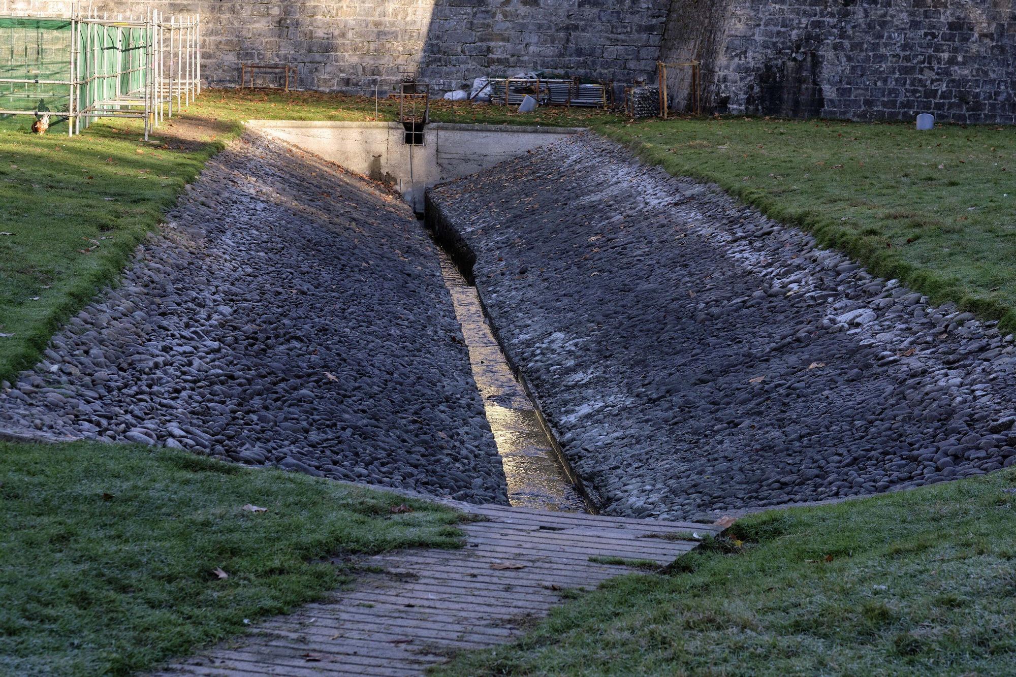 Las medidas contra la gripe aviar en la Taconera de Pamplona