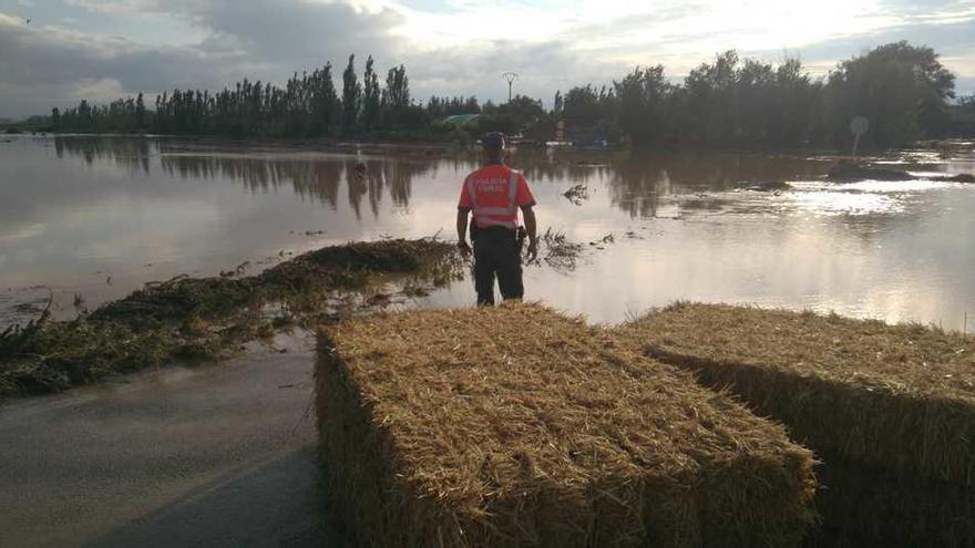 Un agente de la Policía Foral observa la crecida del Cidacos.