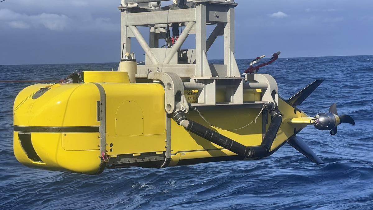 Elenita forger telegram