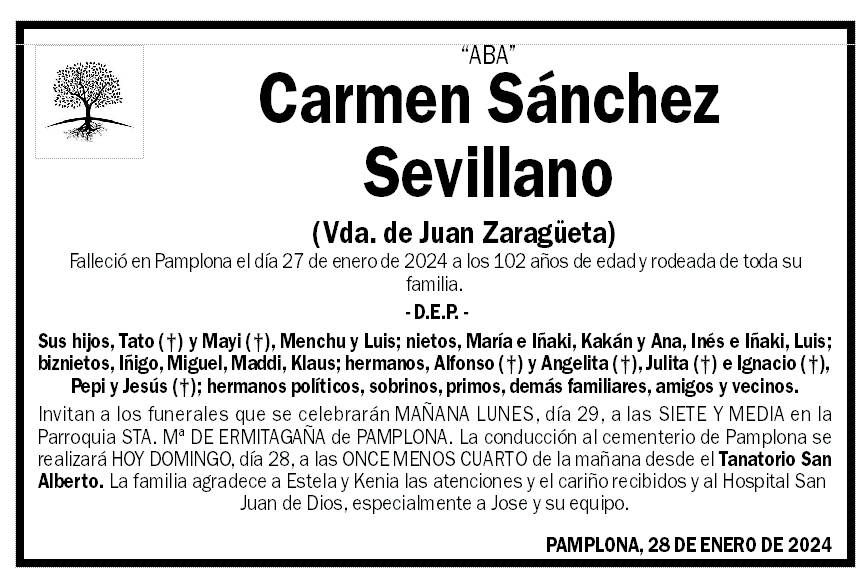 Carmen Sánchez Sevillano
