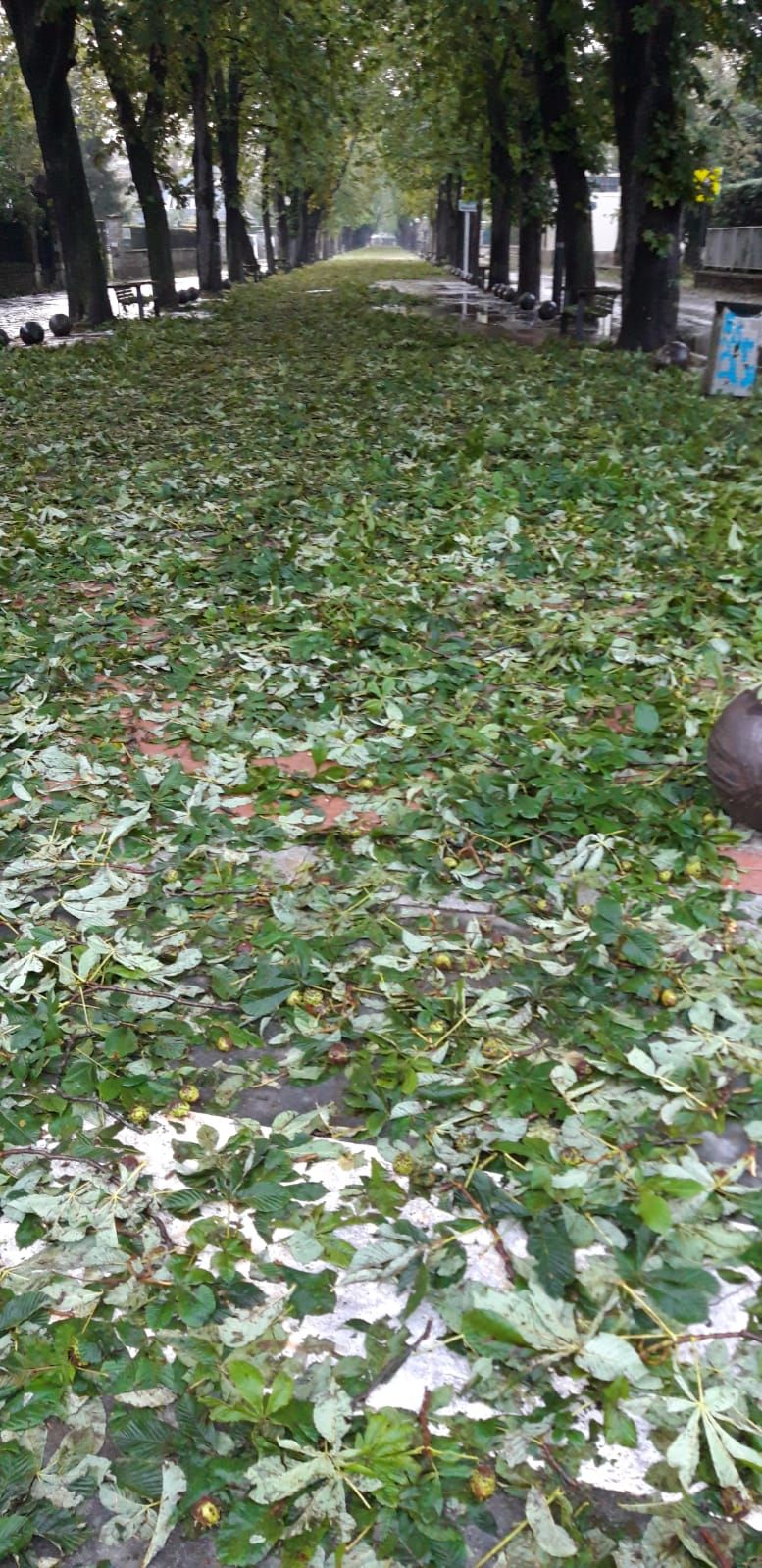 En imágenes: Así ha amanecido Vitoria