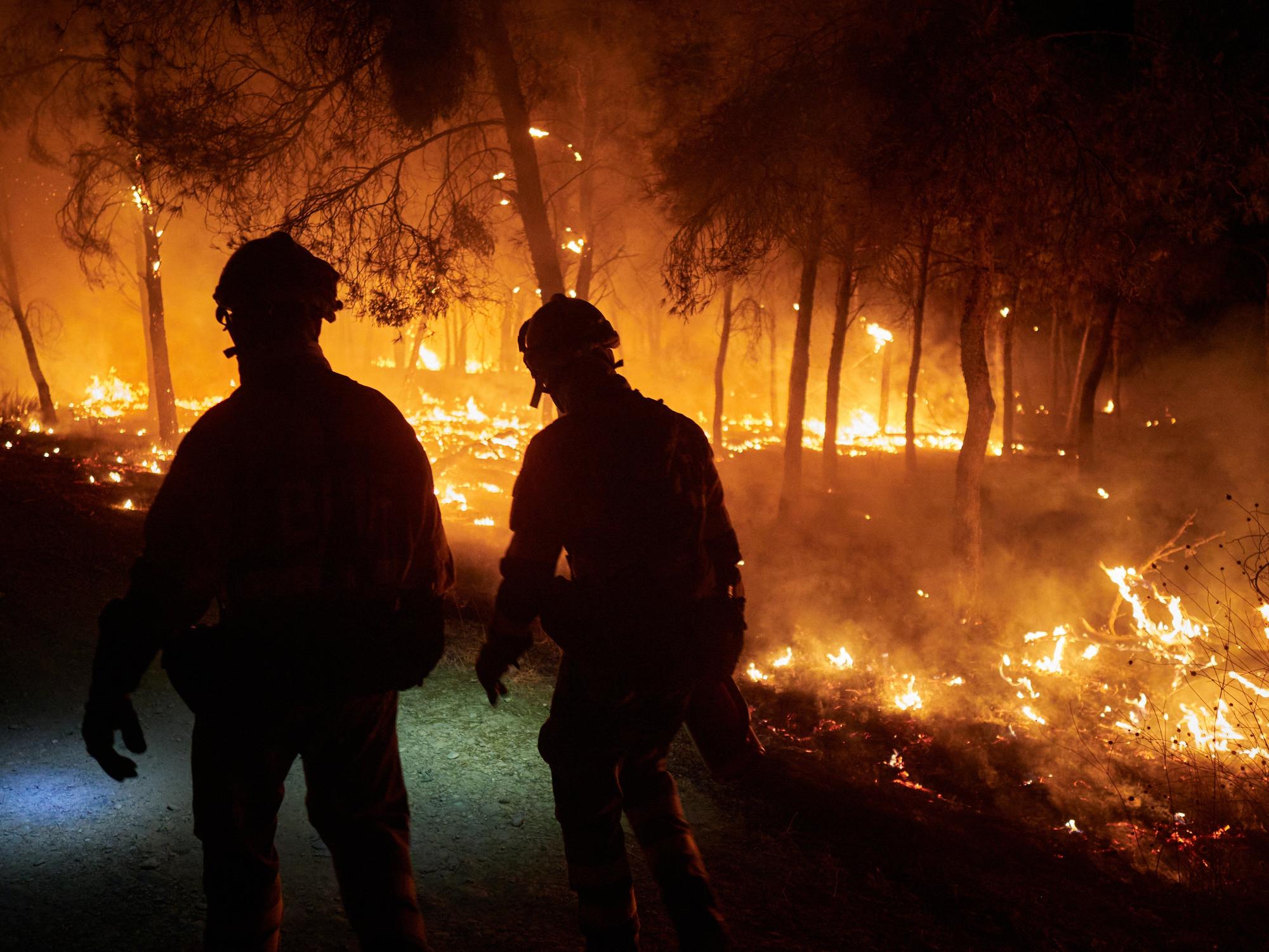 Fotos del incendio forestal cerca de Carcastillo